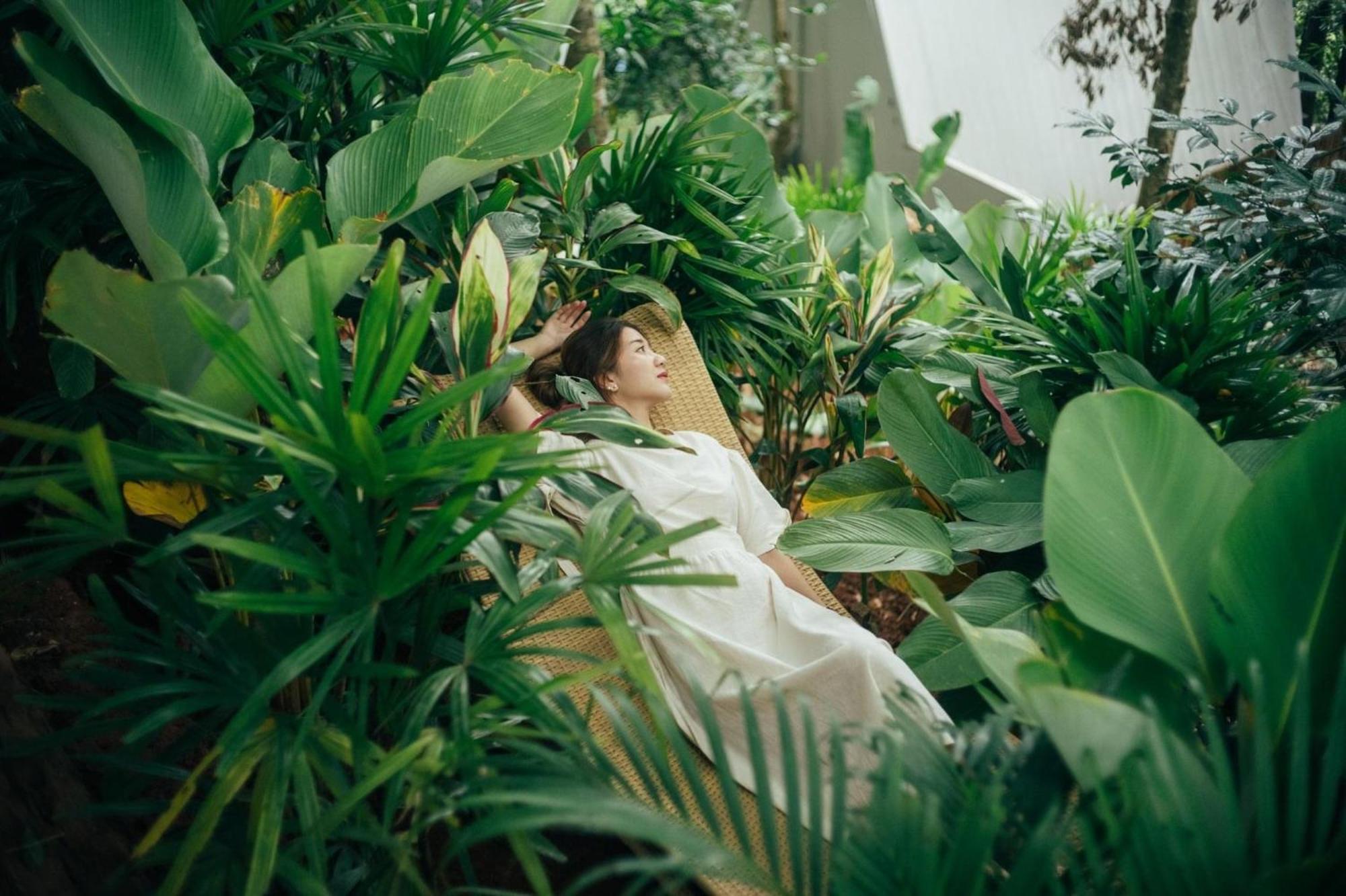 ホテル Lannawild チエンマイ 部屋 写真